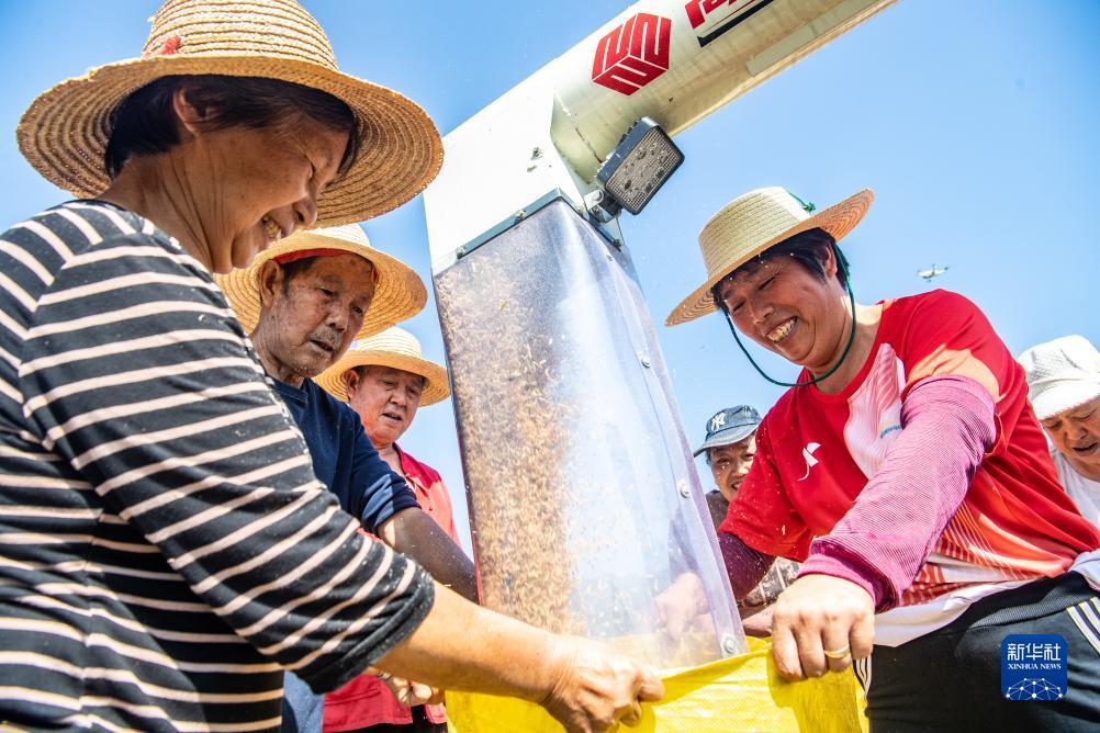 金沙全部网址